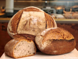 pane tipo 1 - Lievitamente